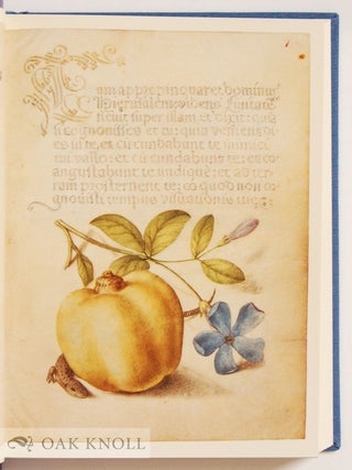 Order Nr. 52257 MIRA CALLIGRAPHIAE MONUMENTA. Georg Bocskay