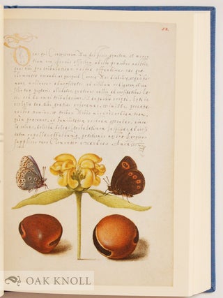 MIRA CALLIGRAPHIAE MONUMENTA.