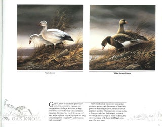 THE ART OF TERRY REDLIN, OPENING WINDOWS TO THE WILD.