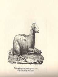 ON GRAFTING IN ANIMALS (DEGLI INNESTI ANIMALI).