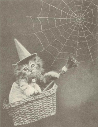 FROM THE MUNDANE TO THE MAGICAL: PHOTOGRAPHICALLY ILLUSTRATED CHILDREN'S BOOKS, 1854-1945 AND BEYOND.