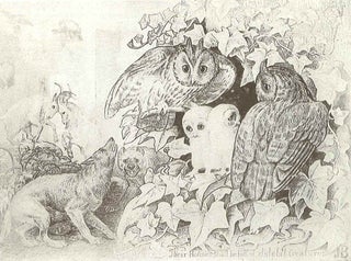 FROM THE MUNDANE TO THE MAGICAL: PHOTOGRAPHICALLY ILLUSTRATED CHILDREN'S BOOKS, 1854-1945 AND BEYOND.