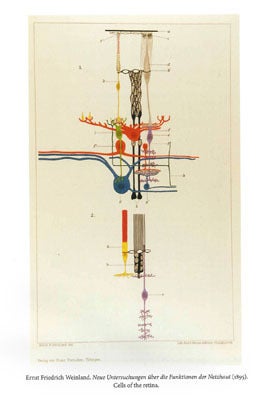 A PERFECT VISION: CATALOGUE OF THE WILLIAM HOLLAND WILMER RARE BOOK COLLECTION.