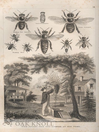 AMERICAN BEE BOOKS: AN ANNOTATED BIBLIOGRAPHY OF BOOKS ON BEES AND BEEKEEPING 1492 TO 2010