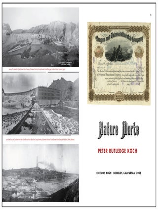PETER KOCH, PRINTER: A DESCRIPTIVE BIBLIOGRAPHY (1975-2016).