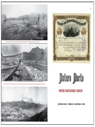 PETER KOCH, PRINTER: A DESCRIPTIVE BIBLIOGRAPHY (1975-2016).