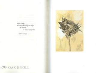 BOKEH: A LITTLE BOOK OF FLOWERS.