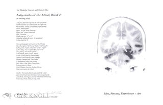 LABYRINTHS OF THE MIND, BOOK I: AN EVOLVING STUDY.