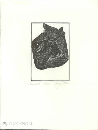 Order Nr. 138194 A print of an Armadillo. Alan James Robinson