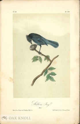 Order Nr. 138220 Seven color printed lithographic engravings of John J. Audubon's 'Birds of...