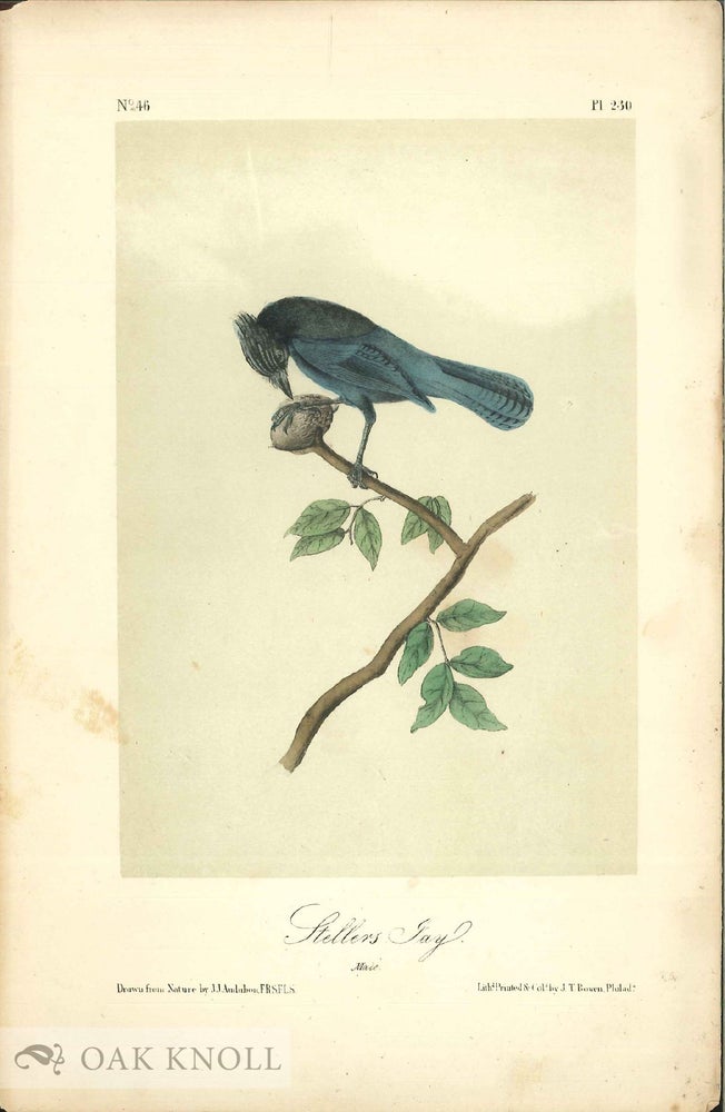 Order Nr. 138220 Seven color printed lithographic engravings of John J. Audubon's 'Birds of America' by J. T. Bowen