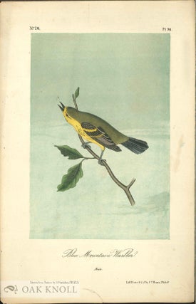 Seven color printed lithographic engravings of John J. Audubon's 'Birds of America' by J. T. Bowen
