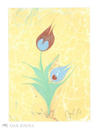 MY TULIP BOOK.